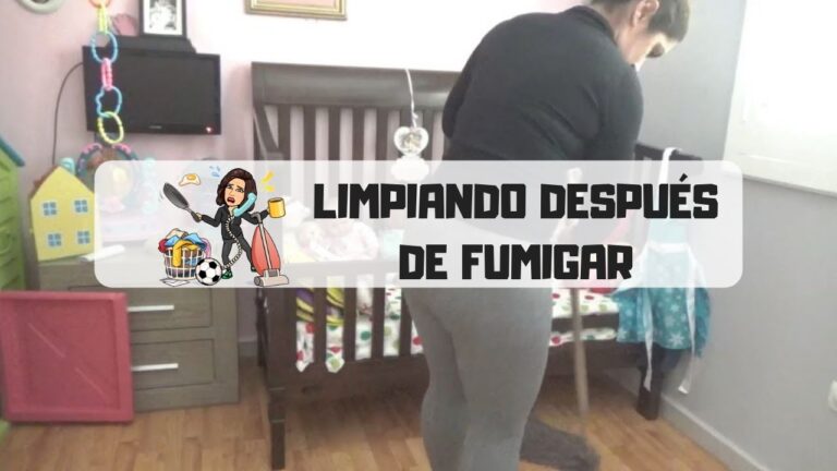 &iexcl;Adi&oacute;s a los bichos! Aprende c&oacute;mo limpiar casa despu&eacute;s de fumigar